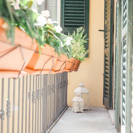 أليسياس بليس كومو