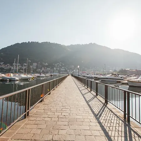 بيت ضيافة أليسياس بليس 4*