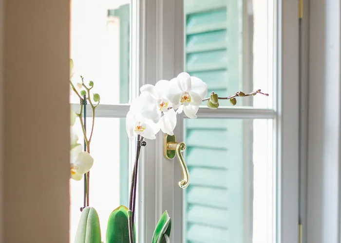 Alessia's Place Πανσιόν 4*