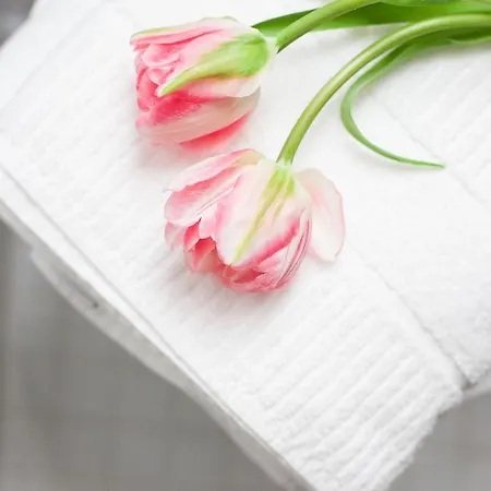 Alessia's Place Gæstehus 4*