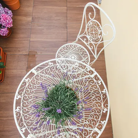 招待所 阿列西亚公寓 4*