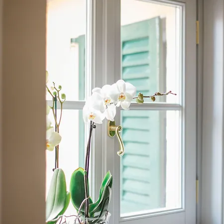 阿列西亚公寓 招待所 4*