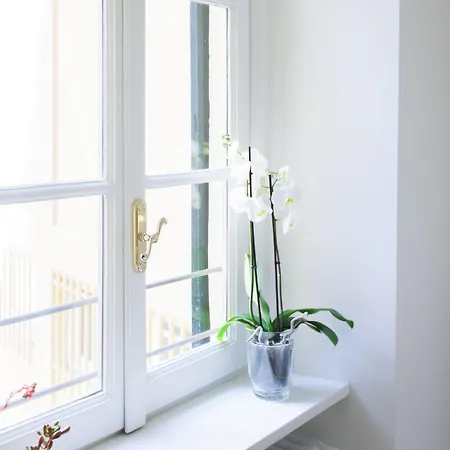 阿列西亚公寓 4* 科莫